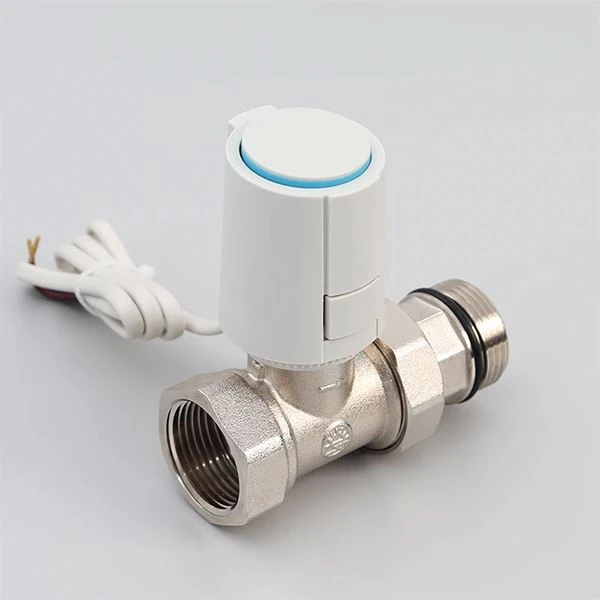 Electric Actuators